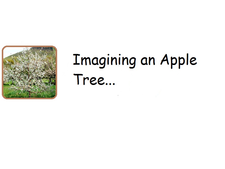 Imagining an Apple Tree…